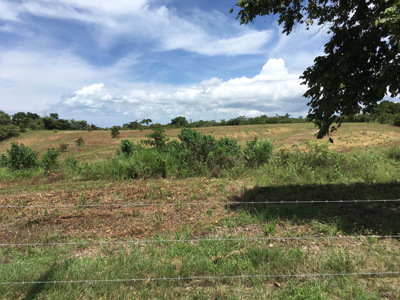 Commercial Property for Sale in SanCarlos Panamá Province 07033